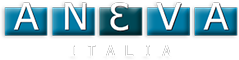aneva italia logo
